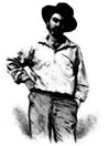 Leaves of Grass Book II